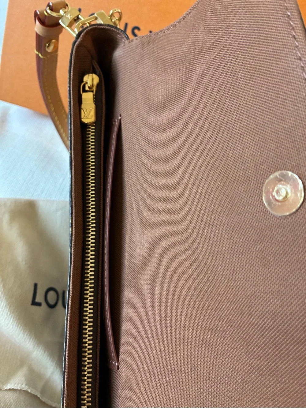 Louis Vuitton Ivy Wallet on Chain Monogram M81911
